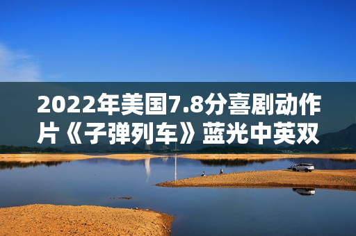 2022年美国7.8分喜剧动作片《子弹列车》蓝光中英双字