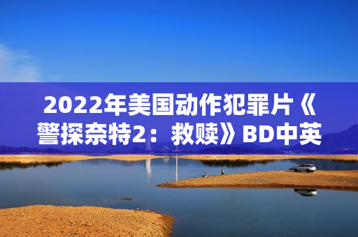 2022年美国动作犯罪片《警探奈特2：救赎》BD中英双字