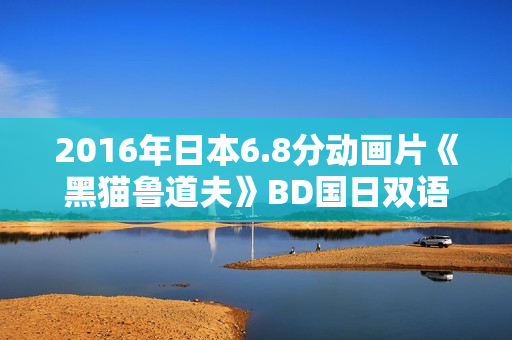 2016年日本6.8分动画片《黑猫鲁道夫》BD国日双语中字