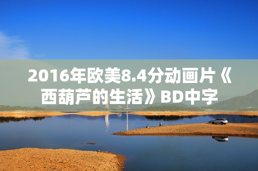 2016年欧美8.4分动画片《西葫芦的生活》BD中字