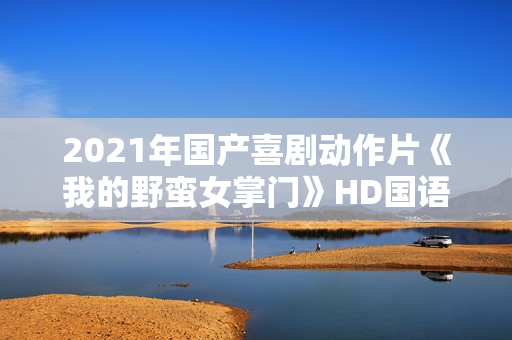 2021年国产喜剧动作片《我的野蛮女掌门》HD国语中字