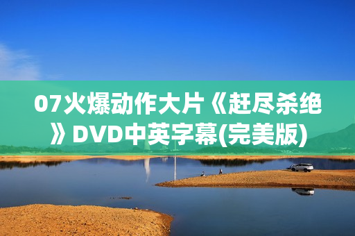 07火爆动作大片《赶尽杀绝》DVD中英字幕(完美版)