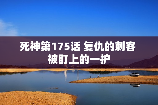 死神第175话 复仇的刺客 被盯上的一护