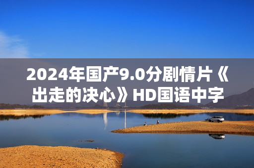 2024年国产9.0分剧情片《出走的决心》HD国语中字
