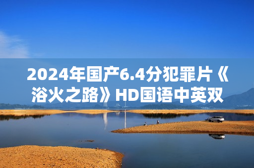 2024年国产6.4分犯罪片《浴火之路》HD国语中英双字