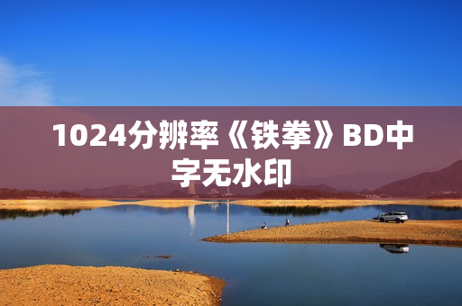 1024分辨率《铁拳》BD中字无水印