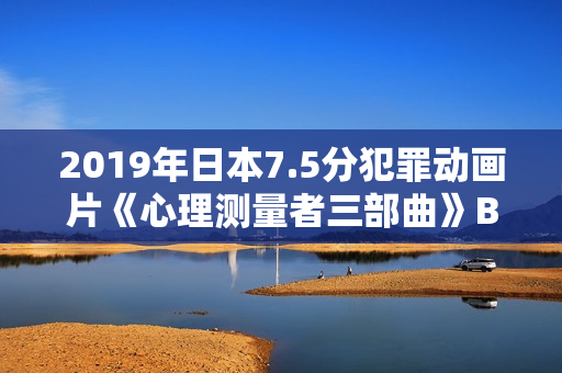 2019年日本7.5分犯罪动画片《心理测量者三部曲》BD日粤双语中字