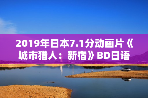 2019年日本7.1分动画片《城市猎人：新宿》BD日语中字