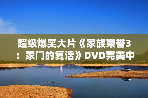 超级爆笑大片《家族荣誉3：家门的复活》DVD完美中字