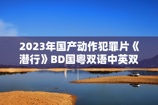 2023年国产动作犯罪片《潜行》BD国粤双语中英双字