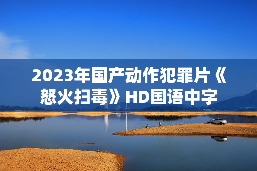 2023年国产动作犯罪片《怒火扫毒》HD国语中字