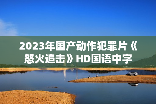2023年国产动作犯罪片《怒火追击》HD国语中字