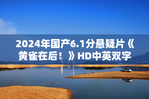 2024年国产6.1分悬疑片《黄雀在后！》HD中英双字