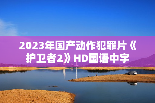 2023年国产动作犯罪片《护卫者2》HD国语中字