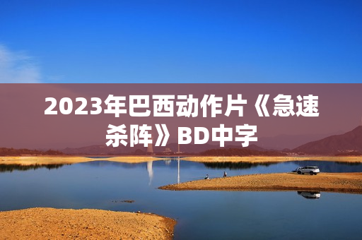 2023年巴西动作片《急速杀阵》BD中字