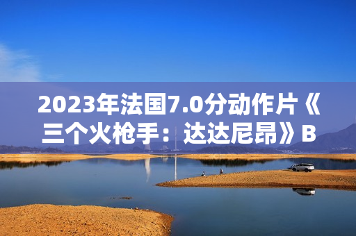 2023年法国7.0分动作片《三个火枪手：达达尼昂》BD法语中字