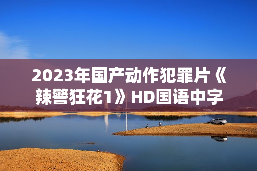 2023年国产动作犯罪片《辣警狂花1》HD国语中字