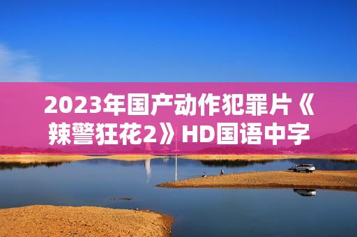 2023年国产动作犯罪片《辣警狂花2》HD国语中字