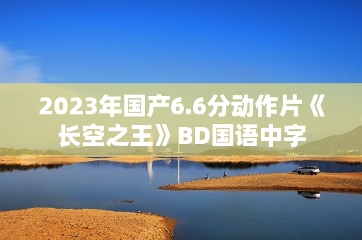 2023年国产6.6分动作片《长空之王》BD国语中字