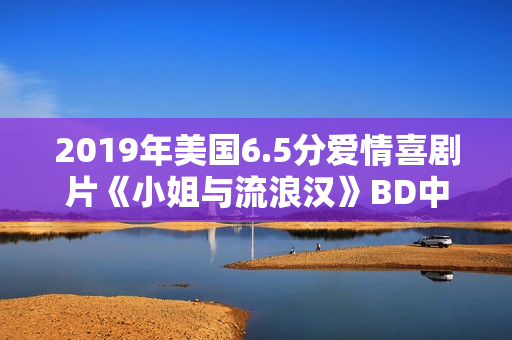2019年美国6.5分爱情喜剧片《小姐与流浪汉》BD中英双字
