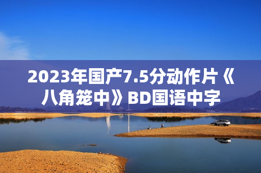 2023年国产7.5分动作片《八角笼中》BD国语中字