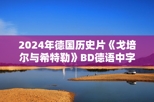 2024年德国历史片《戈培尔与希特勒》BD德语中字