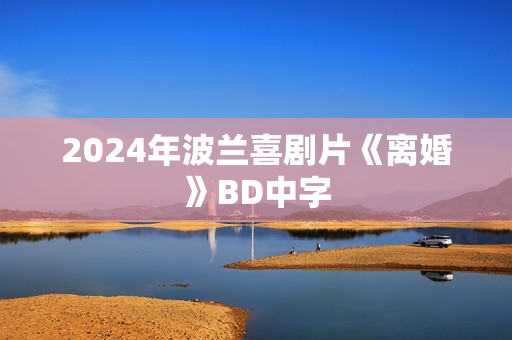 2024年波兰喜剧片《离婚》BD中字