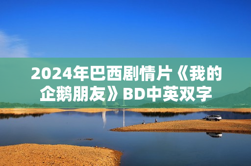 2024年巴西剧情片《我的企鹅朋友》BD中英双字