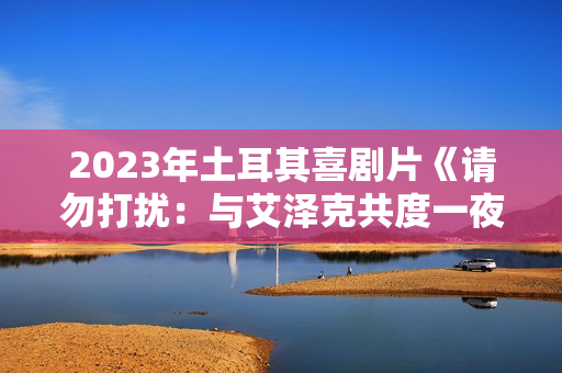2023年土耳其喜剧片《请勿打扰：与艾泽克共度一夜》BD土耳其语中字