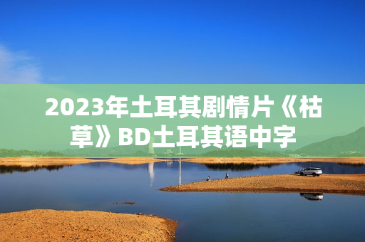 2023年土耳其剧情片《枯草》BD土耳其语中字