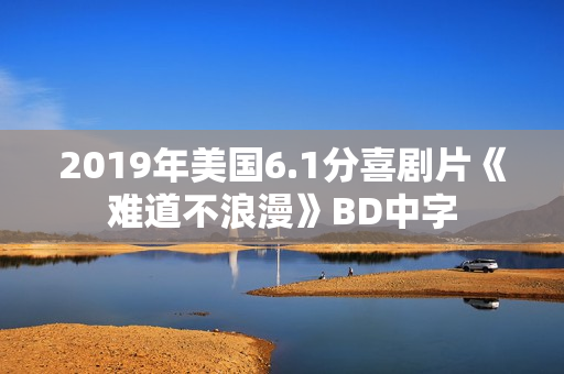 2019年美国6.1分喜剧片《难道不浪漫》BD中字