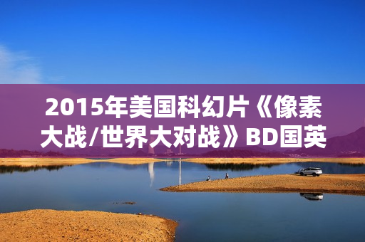 2015年美国科幻片《像素大战/世界大对战》BD国英双语双字