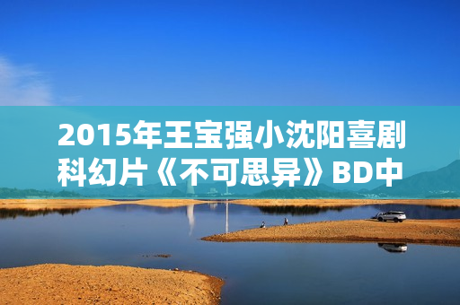 2015年王宝强小沈阳喜剧科幻片《不可思异》BD中英双字