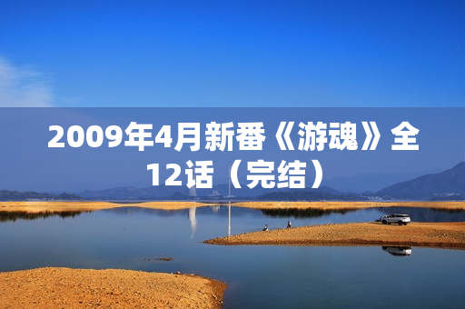 2009年4月新番《游魂》全12话（完结）
