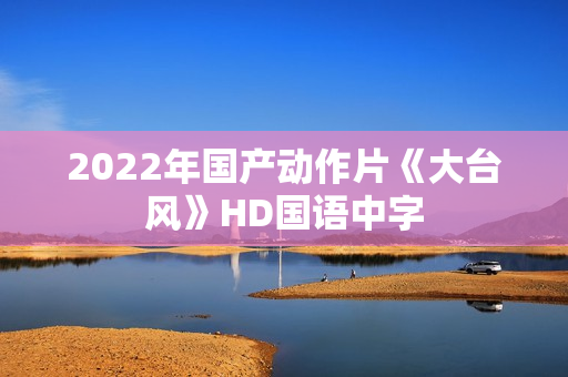 2022年国产动作片《大台风》HD国语中字