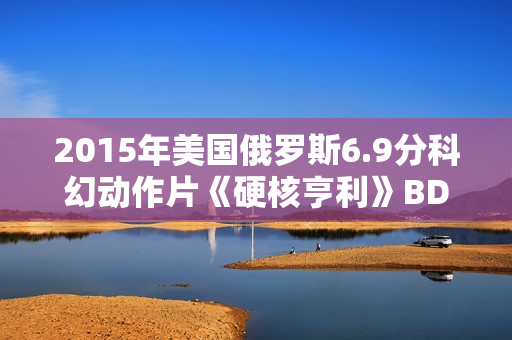 2015年美国俄罗斯6.9分科幻动作片《硬核亨利》BD中英双字