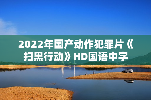 2022年国产动作犯罪片《扫黑行动》HD国语中字