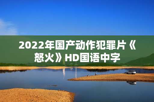 2022年国产动作犯罪片《怒火》HD国语中字