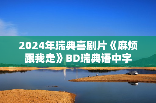 2024年瑞典喜剧片《麻烦跟我走》BD瑞典语中字