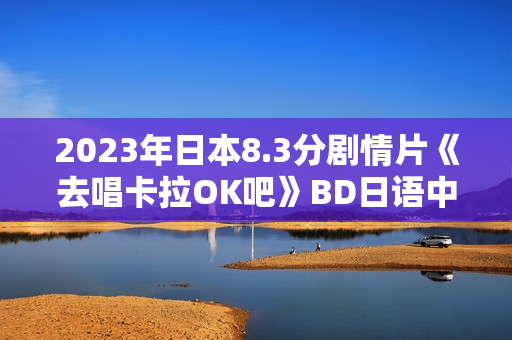 2023年日本8.3分剧情片《去唱卡拉OK吧》BD日语中字
