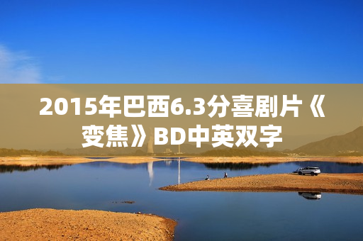 2015年巴西6.3分喜剧片《变焦》BD中英双字
