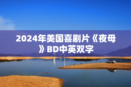 2024年美国喜剧片《夜母》BD中英双字