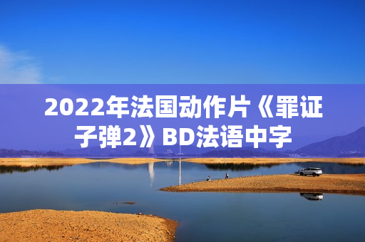 2022年法国动作片《罪证子弹2》BD法语中字 2022年法国动作片《罪证子弹2》BD法语中字