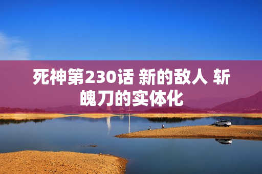 死神第230话 新的敌人 斩魄刀的实体化