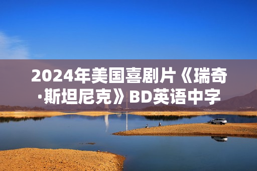 2024年美国喜剧片《瑞奇·斯坦尼克》BD英语中字