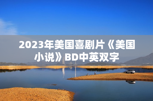 2023年美国喜剧片《美国小说》BD中英双字