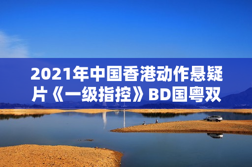 2021年中国香港动作悬疑片《一级指控》BD国粤双语中字