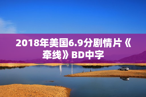 2018年美国6.9分剧情片《牵线》BD中字