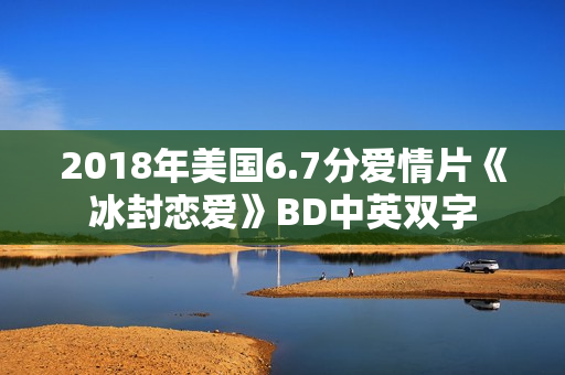 2018年美国6.7分爱情片《冰封恋爱》BD中英双字