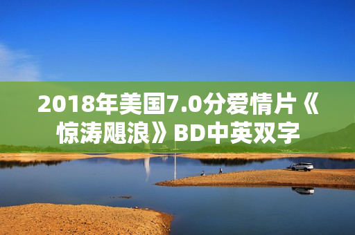 2018年美国7.0分爱情片《惊涛飓浪》BD中英双字
